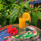 Swatch de Esprit d'Azur : Lot de 4 pailles en Inox avec son pochon 100% fabriqué en Français, Le Petit Carré Français