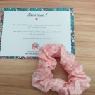 Swatch de miniwinnie : 30 Chouchous 100% Made in France, Le Petit Carré Français