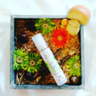 Swatch de Angeliquetesteuse : Gel Purifiant pour peau à tendance acnéique, Mademoiselle Agathe