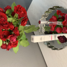 Swatch de Babynounou : Parfum Rose Métamorphose, VIREVOLTE