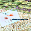 Swatch de Tichka : Crayon liner yeux, Natorigin