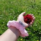 Swatch de Dean72500 : 30 Chouchous 100% Made in France, Le Petit Carré Français