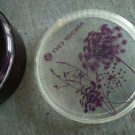 Swatch de zaz19 : Poudre libre, Yves Rocher