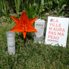 Swatch de Buffy21 : Soin Dépigmentant, Dermina