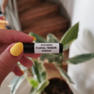 Swatch de Chmicha : Parfum et soin de Cheveux, JOCONDE