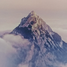 Swatch de lillelolo : Crème éclat hydratante, I.D. Swiss Botanicals