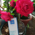 Swatch de Mygtesteuse : Crème hydratante équilibrante, Eye Care Cosmetics