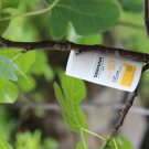 Swatch de peaudane : Fluide Ultra-Léger SPF50, Dermina