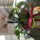 Swatch de Ludiglrt : Crayon liner yeux, Natorigin