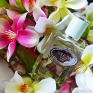 Swatch de edithbenfeghoul : Infusion d'Iris, Prada