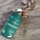 Swatch de marleen.bld : Draineur, BioEnergies