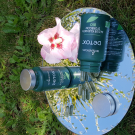 Swatch de Brigthom : Detox, BioEnergies