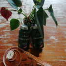 Swatch de Nolby85 : Draineur, BioEnergies