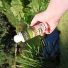 Swatch de Nolrag_sc : Shampooings Soin Bio de NaturAloé, NaturAloé