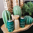 Swatch de LesbavardagesdA : Digestion, BioEnergies