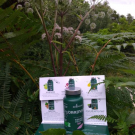 Swatch de Veronique LS : Draineur, BioEnergies