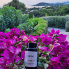 Swatch de Lalisfrenchtouch : LES SUBLIMES Complément alimentaire, MIDI12