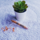 Swatch de Lesfeesbioandgreen : Ombre à paupières jumbo, Natorigin