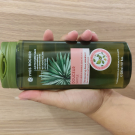 Swatch de Schutzengels : Douceur - Shampooing Doux à l'Hamamélis - Soin Végétal Capillaire, Yves Rocher