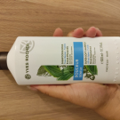 Swatch de Schutzengels : Douceur - Shampooing Doux à l'Hamamélis - Soin Végétal Capillaire, Yves Rocher