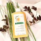 Swatch de Shadya : Shampooing Nutritif au Beurre de Mangue, Klorane