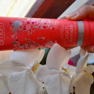 Swatch de BIJOUX1685 : Soin galbant et tonifiant Le Coach Fermeté, Omum