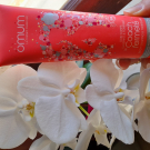 Swatch de BIJOUX1685 : Soin galbant et tonifiant Le Coach Fermeté, Omum