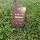 Swatch de NATBEAUTY : Terracotta Solaire Intense, Biocyte