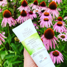 Swatch de Alla87 : MASQUE DÉSINCRUSTANT AU CHARBON ACTIF, Mademoiselle Agathe