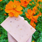 Swatch de Alla87 : SAVON PAMPLEMOUSSE PURIFIANT & APAISANT, Mademoiselle Agathe