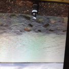 Swatch de amisor : Lait Du Jardin Marin - Lait Corps Revitalisant, Algologie