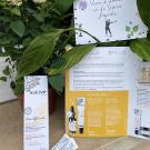 Swatch de Angelique882 : Crème Détox Multi-Défense SPF30 - Detox Officinale, Saeve