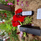 Swatch de faustinejosien09 : Conditionneur, Nectarome