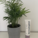 Swatch de H.ann : Prisma Protect SPF30, Dermalogica