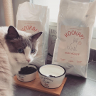 Swatch de ruruRoro : KOOKAPI Chat Adulte, KOOKAPI