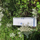 Swatch de Marianne02 : Prisma Protect SPF30, Dermalogica