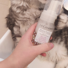 Swatch de Amorine : Mousse douceur nettoyant anti-tiraillement, La Canopée