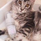 Swatch de Amorine : Mousse douceur nettoyant anti-tiraillement, La Canopée