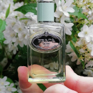 Swatch de CHRISTELLE6 : Infusion d'Iris, Prada