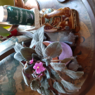 Swatch de HORUS1958 : Sommeil, BioEnergies