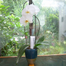 Swatch de HORUS1958 : Sérum Botanique Booster Éclat Anti-Taches - Perfect Pisum, Saeve