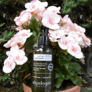 Swatch de cococalvi : Lait Du Jardin Marin - Lait Corps Revitalisant, Algologie