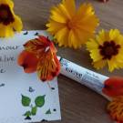 Swatch de tigrette41 : Sérum Botanique Bouclier Détox Anti-Oxydant, Saeve