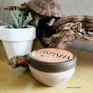 Swatch de jodanelle : Beurre Exfoliant Ekos Castanha, Natura