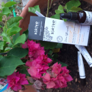 Swatch de marie.mangeol : Sérum Botanique Bouclier Détox Anti-Oxydant, Saeve