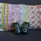 Swatch de canoulechienfou : Sommeil, BioEnergies