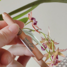 Swatch de Delf58 : Ombre à paupières jumbo, Natorigin