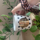 Swatch de Blondy19 : Chouchous 100% Fabriqué en France, Le Petit Carré Français