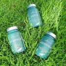 Swatch de Fofia18 : Draineur, BioEnergies