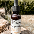 Swatch de lipstickmonster_fr : Sérum Botanique Bouclier Détox Anti-Oxydant, Saeve